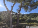 and with small farmhouse for sale in sierra mariola